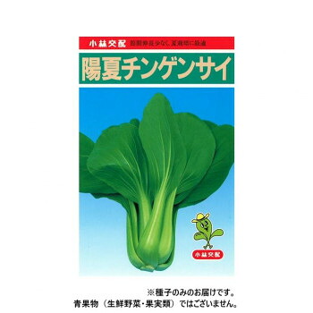 小林種苗 チンゲンサイ種子 陽夏　6　2dl【メーカー直送：代金引換不可：同梱不可】【北海道・沖縄・離島は配達不可】