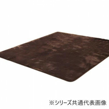 カーペット 「MAXリラ」 ブラウン 185×185cm 1280130061203【メーカー直送：代金引換不可：同梱不可】【北海道・沖縄・離島は配達不可】