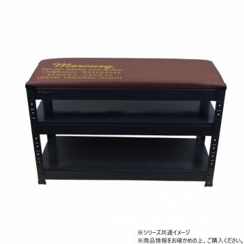 カオスー Blue Battery caos  鉄道車両乾電池