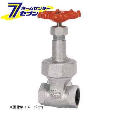 16DSR-N FCD-S ゲート弁（ネジ込・CR13・ユニオンナット） 32A （16DSR-N_32A） [ 東洋バルヴ]