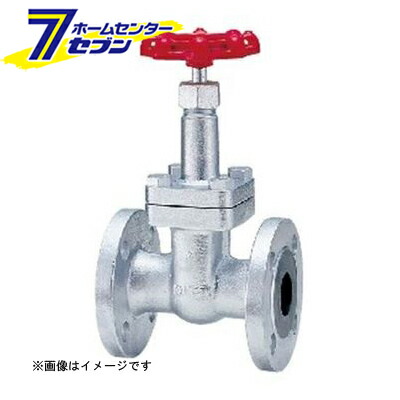 20SLB FCDゲート弁（フランジ） 20A （20SLB_20A） [ キッツ]