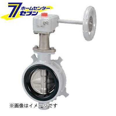 カオスー Blue Battery caos  鉄道車両乾電池