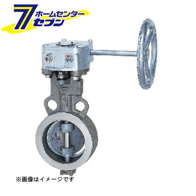カオスー Blue Battery caos  鉄道車両乾電池