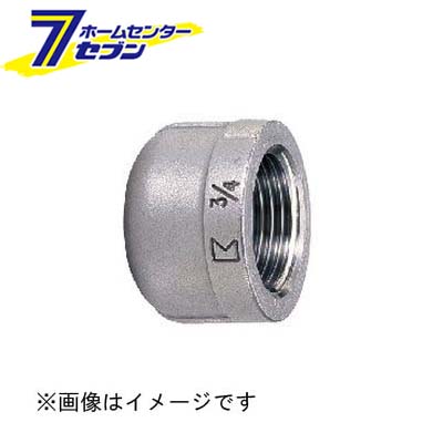 カオスー Blue Battery caos  鉄道車両乾電池