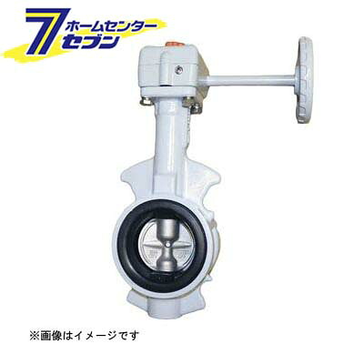 G-10FJUF FCD/FKM バタフライ弁（ギア式） 100A （G-10FJUF_100A） [ キッツ]