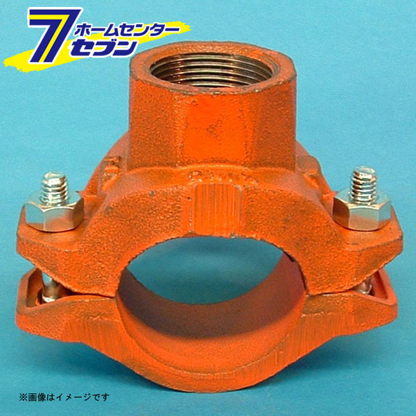 カオスー Blue Battery caos  鉄道車両乾電池