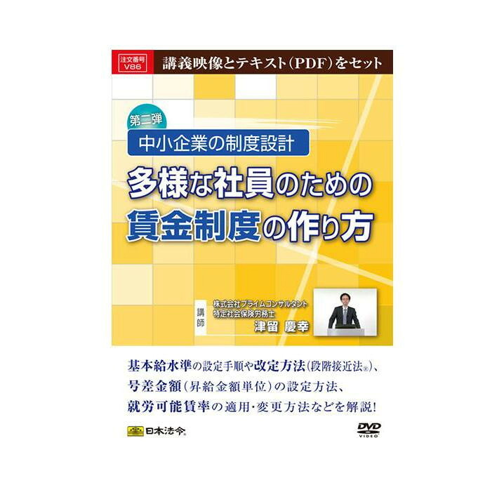 DVD 中小企業の制度設計 多様な社員のための賃金制度の作り方 V86【配送方法:メール便/同梱不可/代引不可/日時指定不可】【北海道・沖縄・離島は配達不可】