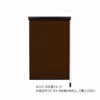 ロールスクリーン　エクシヴ　遮光タイプ　幅170×高さ220cm　遮光ブラウン・L3538【メーカー直送：代金引換不可：同梱不可】【北海道・沖縄・離島は配達不可】