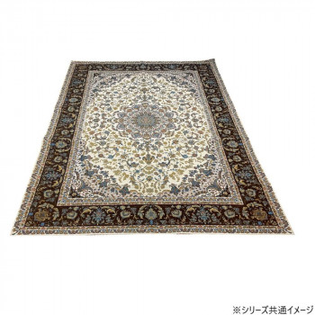 洗える!ゴブラン織シェニールラグ マルキィ 200×250cm BR・ブラウン 5566【メーカー直送：代金引換不可：同梱不可】【北海道・沖縄・離島は配達不可】