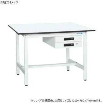サカエ 軽量作業台KAタイプ キャビネット2段付 抗菌加工 1200×750×740mm KA-127BMW【メーカー直送:代金引換不可:同梱不可】【北海道・沖縄・離島は配達不可】|カー用品・日用品のホームセンター