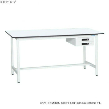 サカエ 軽量立作業台KADタイプ 抗菌加工 キャビネット2段付 1800×600×900mm KAD-186BMW【メーカー直送：代金引換不可：同梱不可】【北海道・沖縄・離島は配達不可】