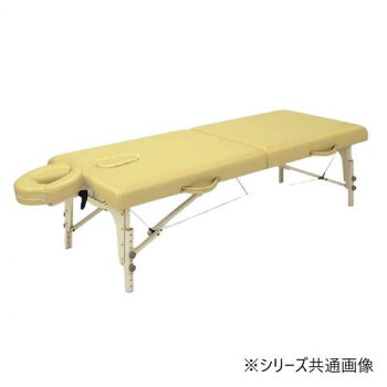 高田ベッド製作所 カルロス60 (木製ポータブルベッド) 幅60×長さ183×高さ45/65cm(高さ調節機能付き) アイボリー TB-209-01【メーカー直送：代金引換不可：同梱不可】【北海道・沖縄・離島は配達不可】