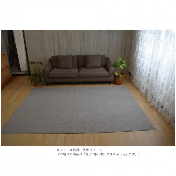 Axia　アクシア　ループパイルカーペット　防ダニ・抗菌・床暖対応 Mocha　モカ 江戸間4.5帖　261×261【メーカー直送：代金引換不可：同梱不可】【北海道・沖縄・離島は配達不可】