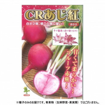 小林種苗 カブ種子 CRあじ紅 11 1dl【メーカー直送:代金引換不可:同梱不可】【北海道・沖縄・離島は配達不可】