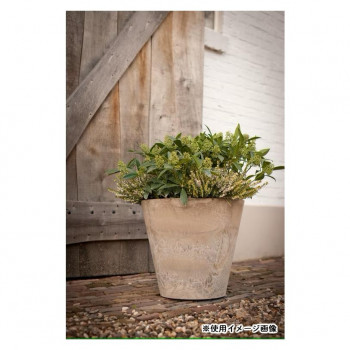 グリーンポット 植木鉢 アートストーン ラウンド ベーシュ 37cm AS-110910 5個入【メーカー直送：代金引換不可：同梱不可】【北海道・沖縄・離島は配達不可】｜カー用品・日用品のホームセンター