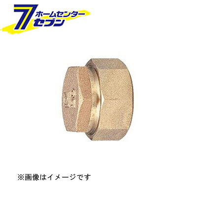 カオスー Blue Battery caos  鉄道車両乾電池