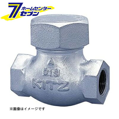 20SN FCDリフトチャッキ弁 50A （20SN_50A） [ キッツ]