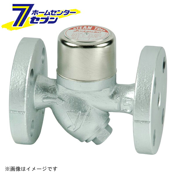 TD-30NA FCD ディスク式スチームトラップ（フランジ・ストレーナ内蔵） 20A （TD-30NA_20A） [ ヨシタケ]｜カー用品・日用品のホームセンター