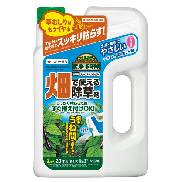 おきなわの薬草百科 沖縄の薬草百科―誰にでもできる薬草の利用法 やさしい煎じ方と