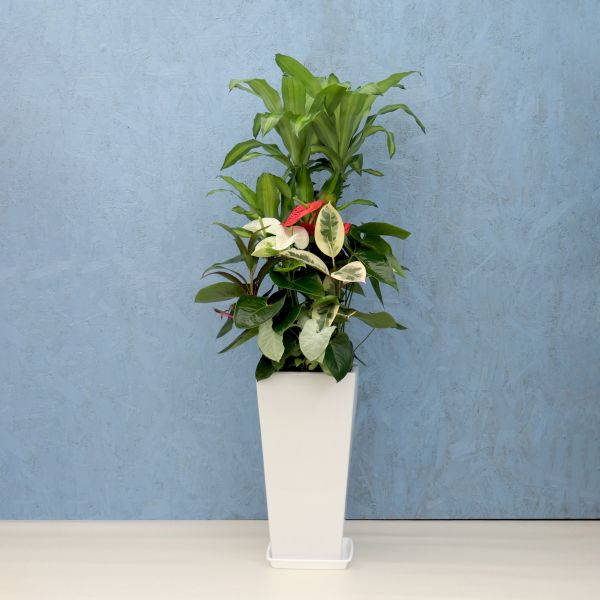 植物人形2体セット Amazon.co.jp: Veemoon 水族館 人工 プラスチック 植物 装飾