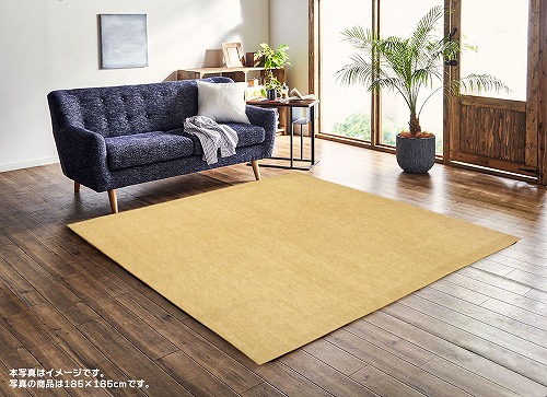 イケヒコ・コーポレーション ラグ モデルノ約3畳 約200&times;250cm ベージュ｜ホームセンターバロー　店
