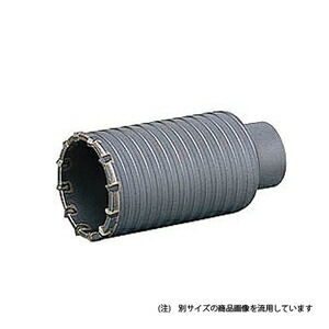 欠品カラー再入荷 楽天市場 ミヤナガ ハンマー用コアビットカッター Mh65c 先端工具 コンクリートアクセサリ コアドリル ホームセンターバロー 楽天市場店 再再販 Servicoscasa Pt
