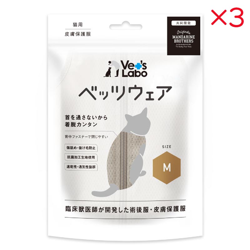 超ワイドモンキレンチ×北斗の拳|最強共同研究がここに現実化！