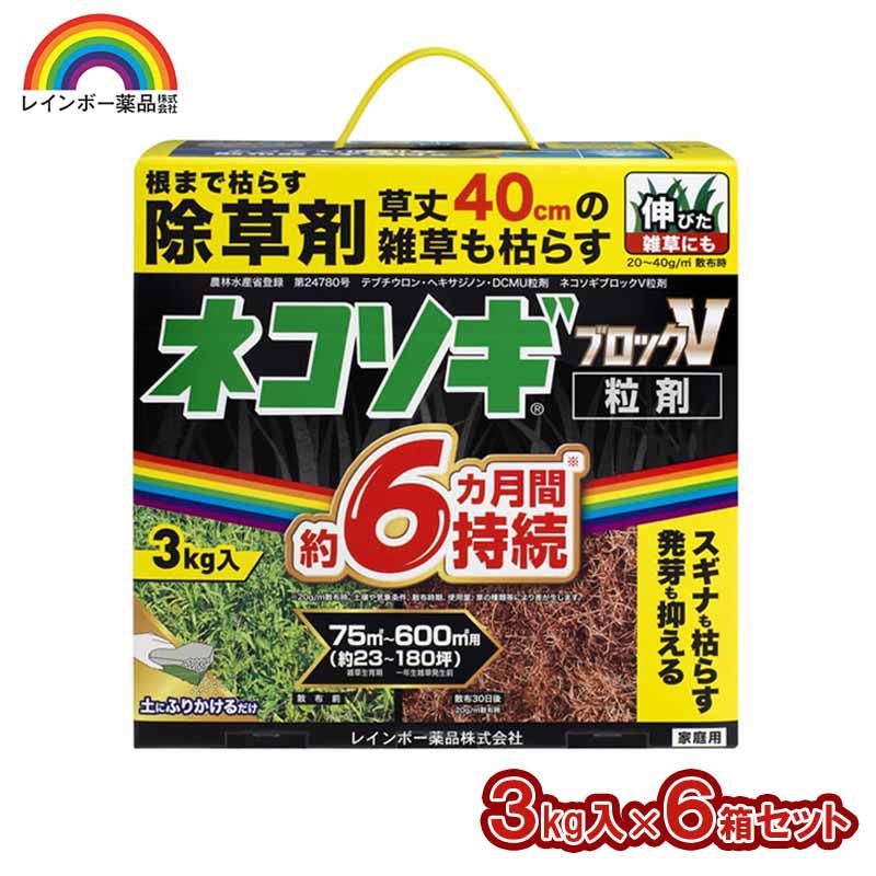 超ワイドモンキレンチ×北斗の拳|最強共同研究がここに現実化！