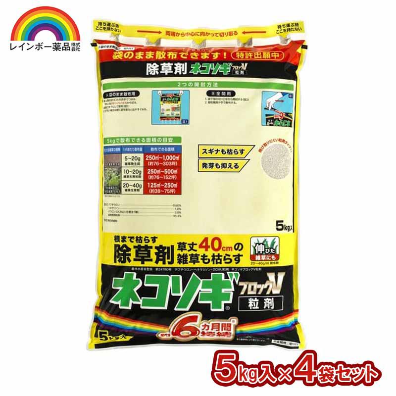 超ワイドモンキレンチ×北斗の拳|最強共同研究がここに現実化！