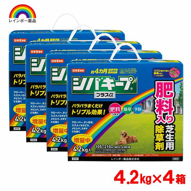【即納在庫品】 レインボー薬品 シバキーププラスα 4.2kg×4箱 日本芝専用 除草剤 肥料入り 芝生用 除草 予防