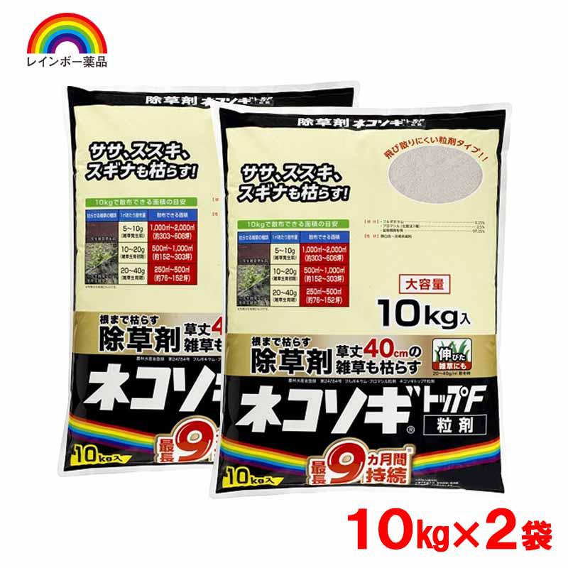 超ワイドモンキレンチ×北斗の拳|最強共同研究がここに現実化！