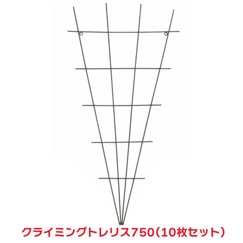 超ワイドモンキレンチ×北斗の拳|最強共同研究がここに現実化！