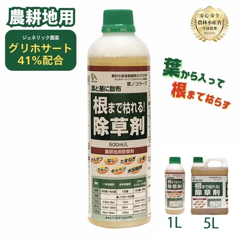 超ワイドモンキレンチ×北斗の拳|最強共同研究がここに現実化！