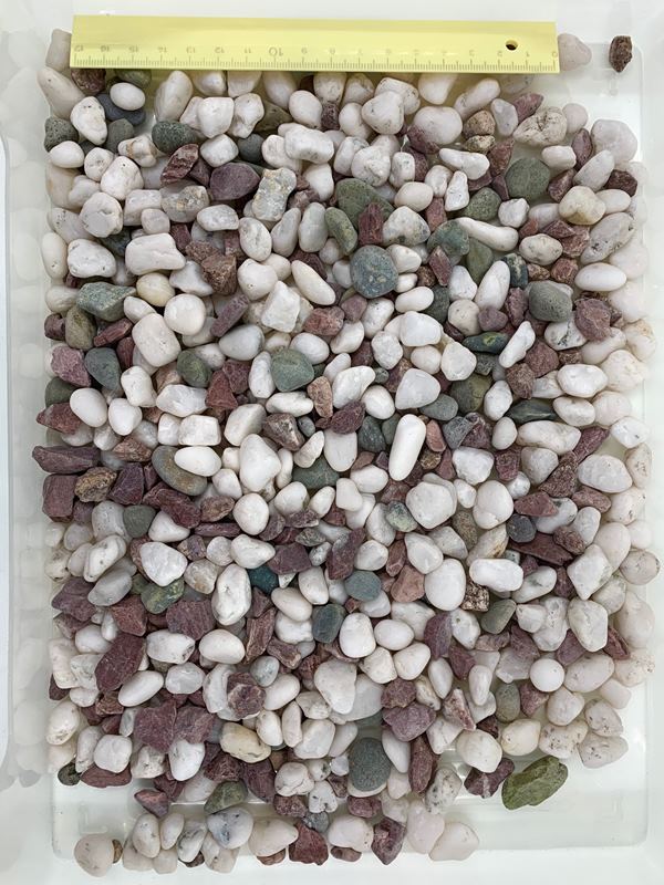 ペットライブラリー 観賞魚 2kg 本五色石 Aquaneru ペットライブラリー 観賞魚 2kg 本五色石 Aquaneru