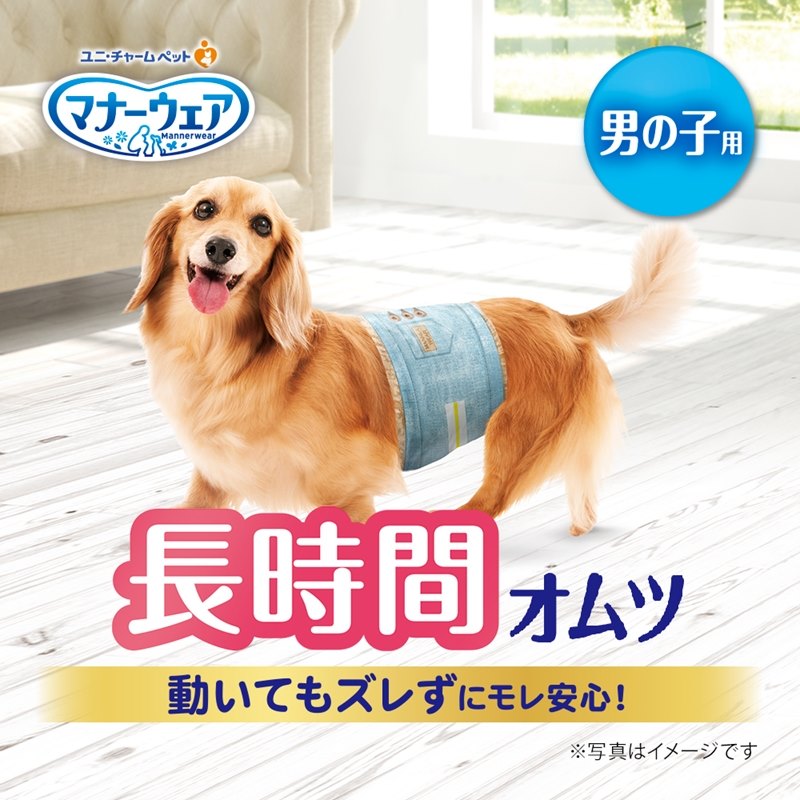 でおすすめアイテム。 ユニチャーム マナーウェア 高齢犬用男の子用おしっこオムツM 38枚 ２個セット