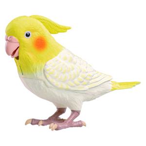 もっとおしゃべり 天才オカメインコちゃん タカラトミーアーツ (O1091)