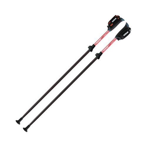 DFP ポータブルセクター2 2本1組 / WH1181-62WS L レッド 羽立工業 健康管理/トレーニング小物/ボール (W2270)