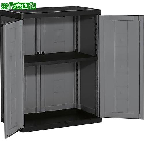 ■AS 耐薬キャビネット9599000組立済〔品番:257511〕【1004052:0】[送料別途見積り][法人・事業所限定][外直送][店頭受取不可]｜ホームセンターバロー　店