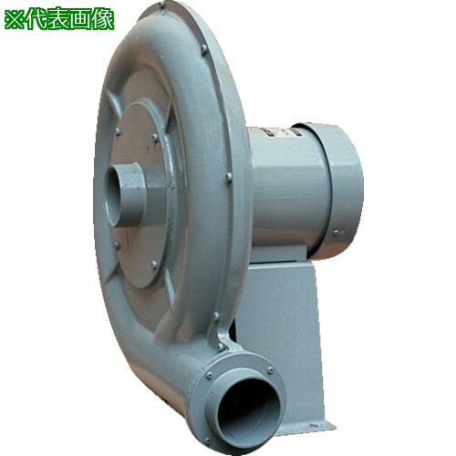 ■淀川電機 電動送風機 高圧ターボ型 DHシリーズ 三相200V (2.2kW)〔品番:DH6T〕【1006658:0】[送料別途見積り][法人・事業所限定][外直送][店頭受取不可]｜ホームセンターバロー　店