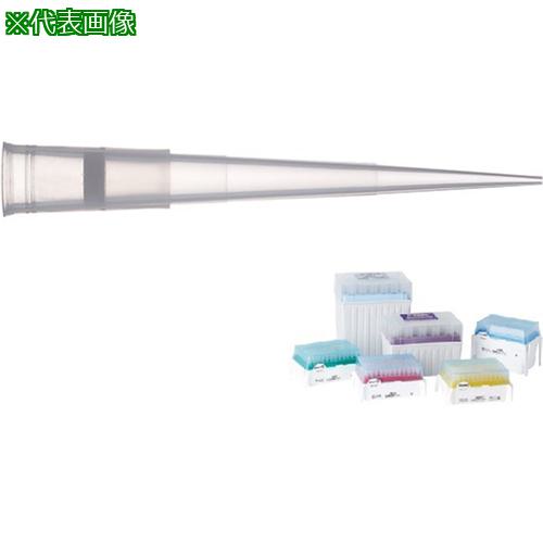 超ワイドモンキレンチ×北斗の拳|最強二人三脚がここに具体化！