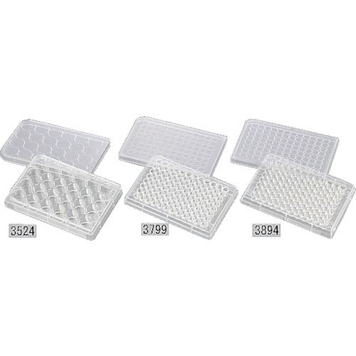 ■AS マルチプルウエルプレート 3524 (100枚入)〔品番:2206507〕【1010197:0】[送料別途見積り][掲外取寄][店頭受取不可]｜ホームセンターバロー　店