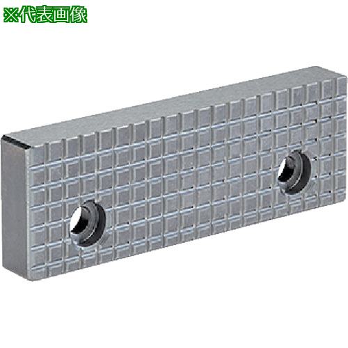 ■HALDER 標準口金 クランピングバイス用 リバーシブル口金、平滑〔品番:23231.0020〕【1055785:0】[送料別途見積り][法人・事業所限定][掲外取寄][店頭受取不可]｜ホームセンターバロー　店