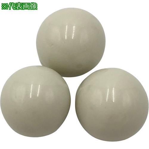 ■AS アルミナボールSSA-999W-10〔品番:5405802〕【1057891:0】[送料別途見積り][掲外取寄][店頭受取不可] 28,463円