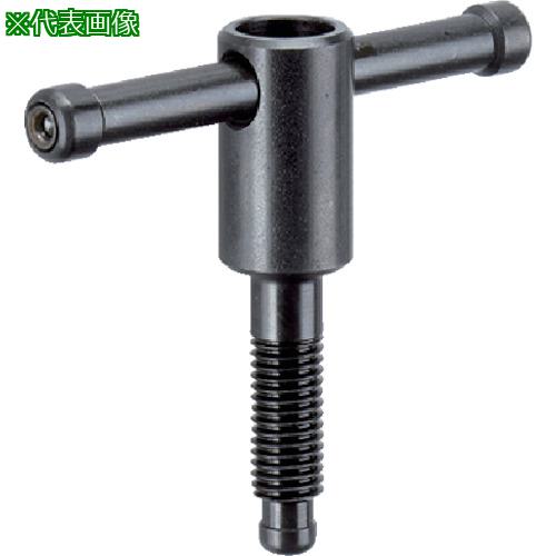 ■HALDER トミースクリュー 形状D〔品番:24500.0021〕【1061817:0】[送料別途見積り][掲外取寄][店頭受取不可]