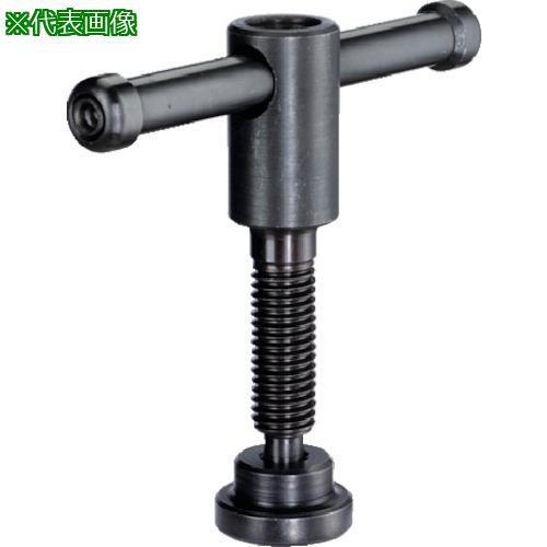 ■HALDER トミースクリュー 形状E〔品番:24500.0120〕【1065019:0】[送料別途見積り][法人・事業所限定][掲外取寄][店頭受取不可]