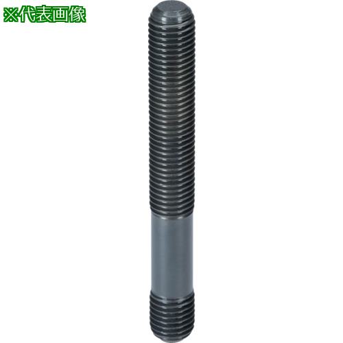 ■HALDER スタッドボルトDIN6379 Tナット用 強度クラス8.8ピン径M30全長500〔品番:23040.0304〕【1065354:0】[送料別途見積り][法人・事業所限定][店頭受取不可]｜ホームセンターバロー　店