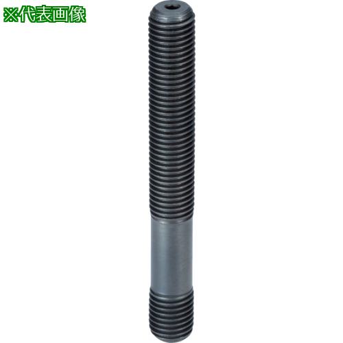 ■HALDER スタッドボルト 六角穴付 M24×250〔品番:23040.0805〕【1066914:0】[送料別途見積り][掲外取寄][店頭受取不可]