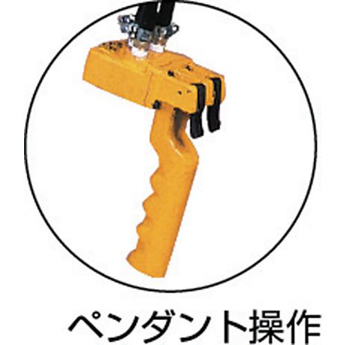 ■ENDOエアーホイストEHW-60R60kg1.9M0.6MPa〔品番:EHW60R〕【1074474:0】