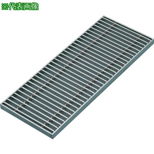 ■片岡 グレーチング ステンレス 溝幅200mm 適用荷重側溝T-14〔品番:KSG42020P15〕【1077884:0】[送料別途見積り][法人・事業所限定][外直送][店頭受取不可]｜ホームセンターバロー　店