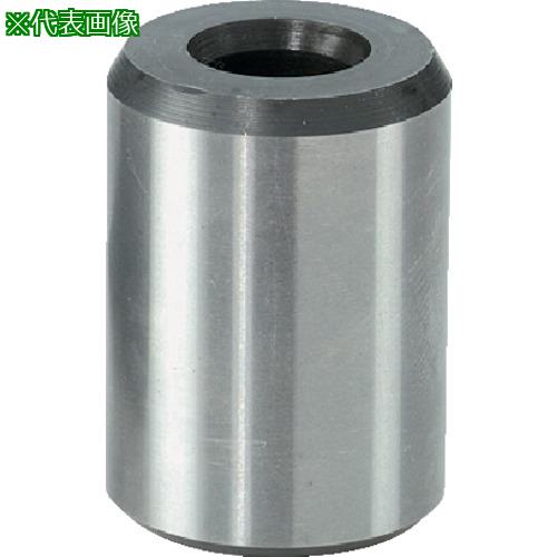 ■HALDER センタリングピン〔品番:23110.0520〕【1078888:0】[送料別途見積り][法人・事業所限定][掲外取寄][店頭受取不可]